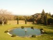 Superb-field-of-vines-in-organic-culture