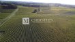 A-vendre-Bergerac--Superbe-propriete-viticole-tres-bien-tenue-de-plus-de-60-ha-