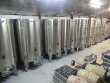 Anjou-Beau-domaine-viticole-22ha-groupes-cle-en-main