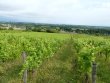 EXCLUSIVE-Chinon--Wine-castle-in-very-good-condition-