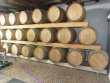 LOIRE-ATLANTIQUE--Large-autonomous-estate-