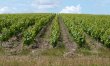 LOIRE-ATLANTIQUE--Large-autonomous-estate-