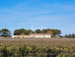 Unique-Vaste-domaine-viticole-bio-et-ses-nombreux-batiments-a