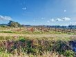 Exceptional-wine-estate-in-the-Corbieres-mountains