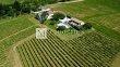 Attractive-321-ha-vineyard-near-Bordeaux