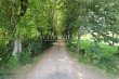 Character-property-to-renovate--Vineyard--Outbuildings--Lovely-park-
