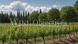 A-Provencal-idyll-just-20-mins-from-Aix-en-Provence