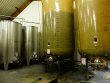 ANJOU-To-be-revitalized-16-ha-wine-estate-with-strong-commercial-and-viticultural-development-potential