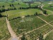 Propriete-viticole-sur-16ha-en-Monbazillac