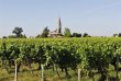 Opportunite-rare-115-ha-de-vignes-en-AOC-Lalande-de-Pomerol