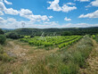 Belle-unite-fonciere-viticole-dune-quinzaine-dhectares-en-Cotes-du-Rhone-gardoises